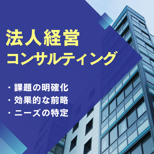 法人経営コンサルティング　